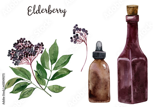 Watercolor elderberry branch, syrup bottle, dropper illustration. Healthy organic homemade food, natural medicine, immunotherapy, pharmacy, apothecary, health care. Herb garden medicinal plants photo