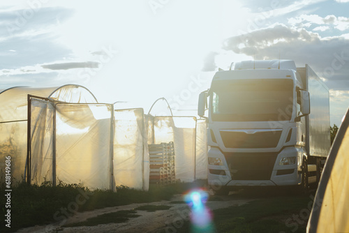 Growing vegetables in greenhouses for business, between the greenhouses there is a truck for transporting crops at sunset
