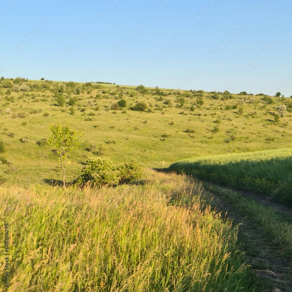 A grassy field with a dirt path with Konza Prairie Natural Area in the background