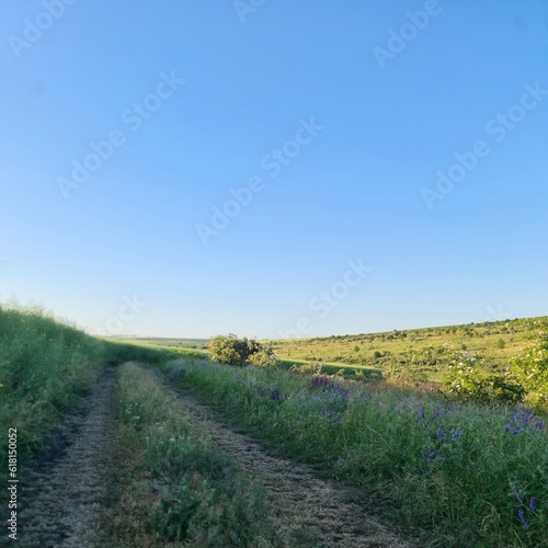 A dirt road through a field