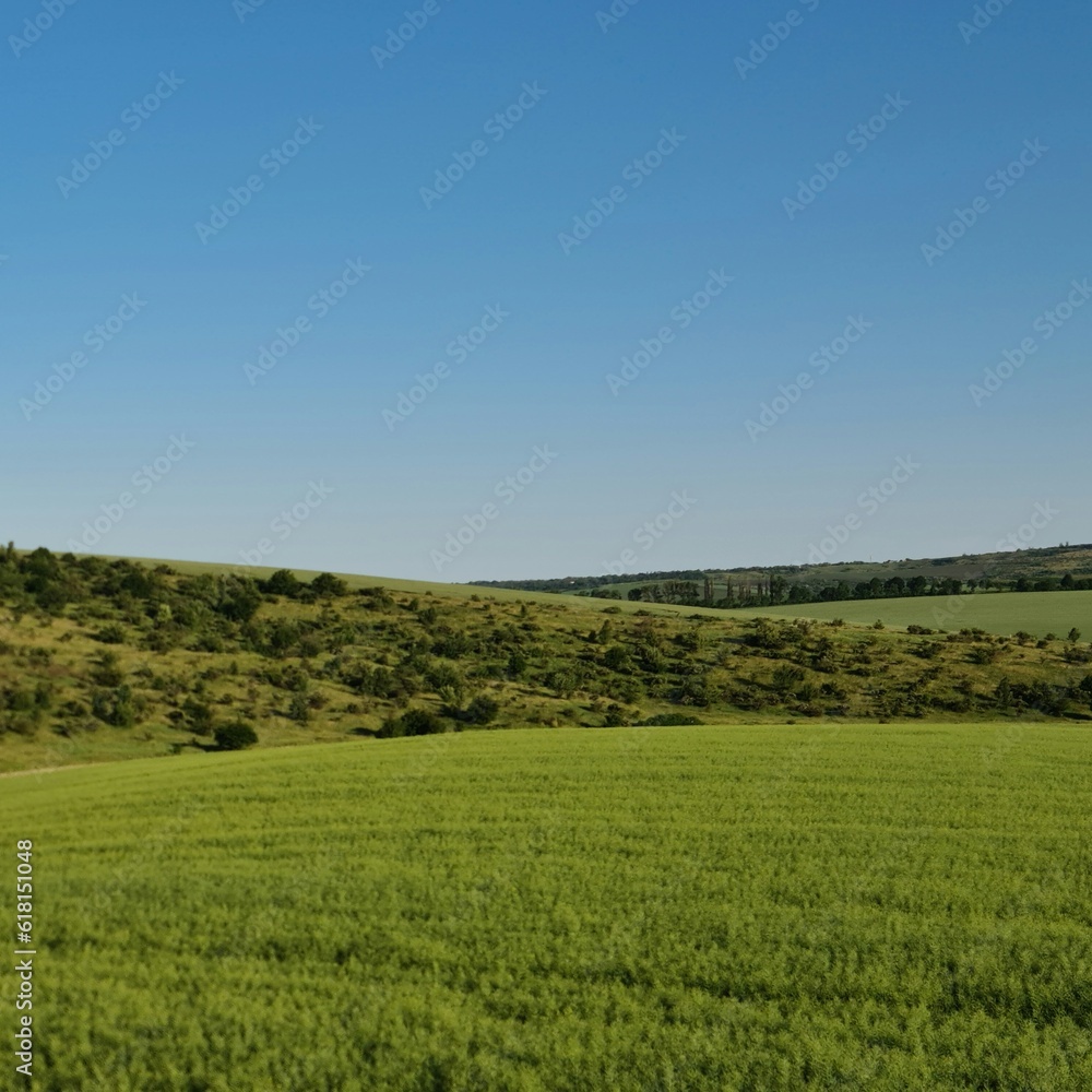 A green field with trees and blue sky