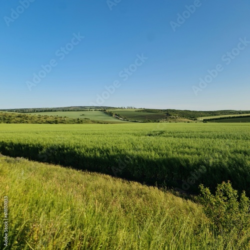 A grassy field with a blue sky with Konza Prairie Natural Area in the background