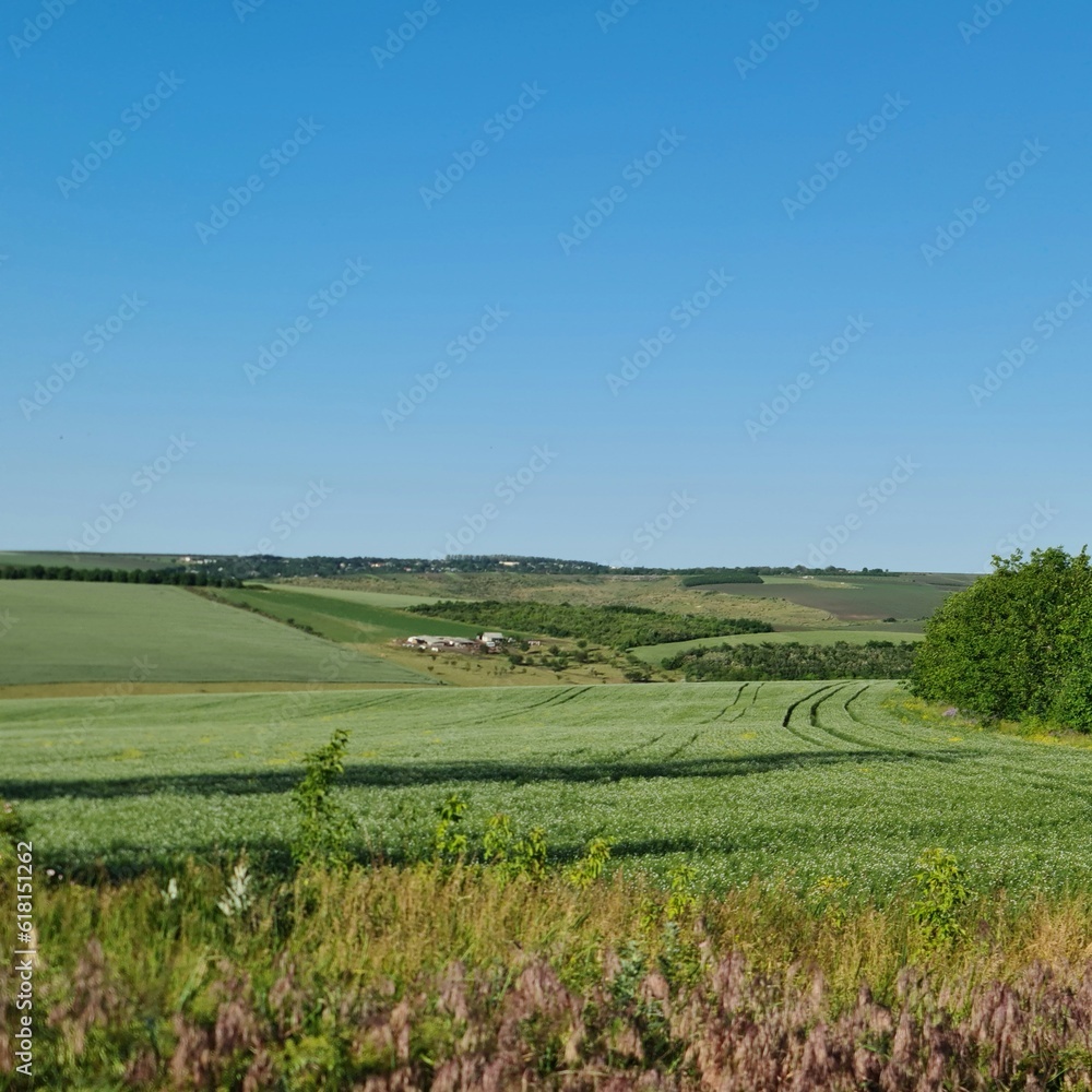 A grassy field with a house in the distance