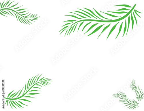green leaves with empty background