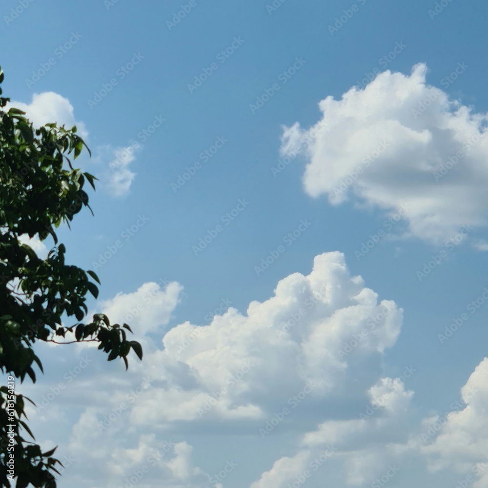 Obraz premium A blue sky with clouds