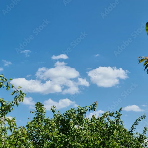 A blue sky with clouds