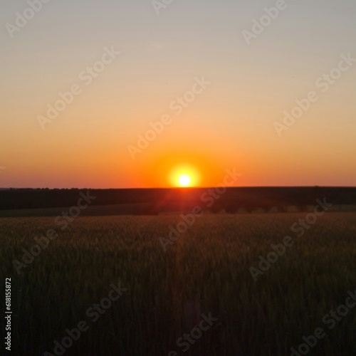 A field of grass with the sun setting in the background