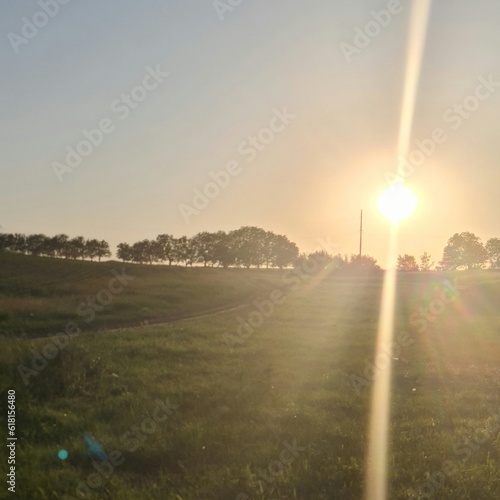 A field with a sunset