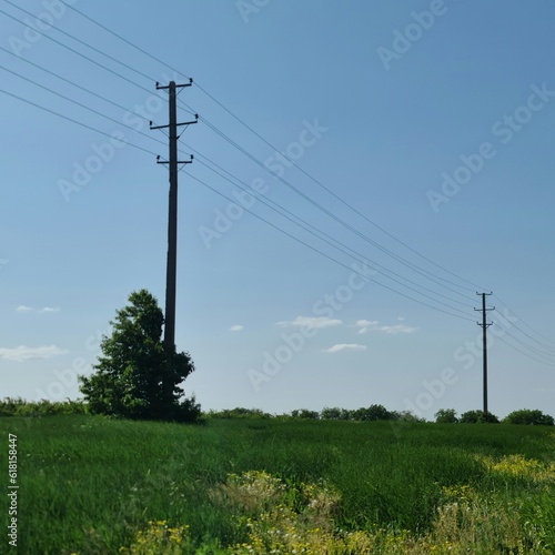Power lines in a field