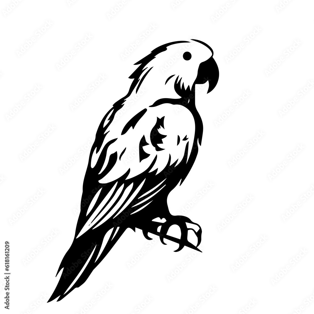 Fototapeta premium parrot silhouette illustration