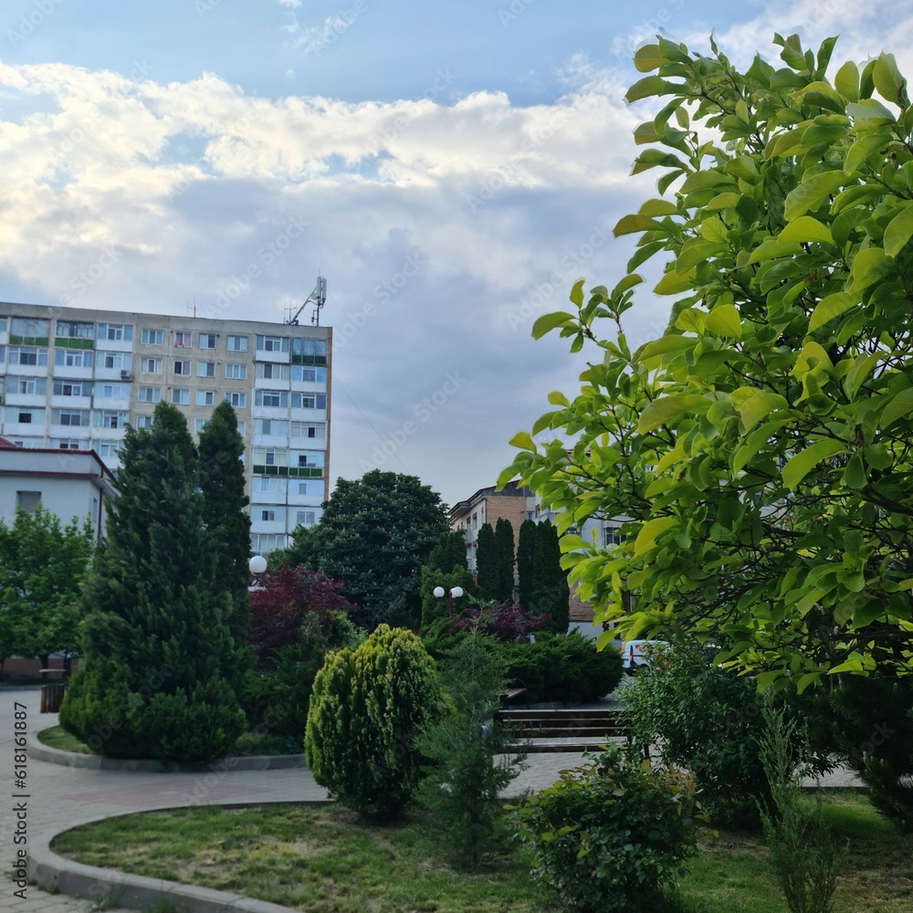A garden with trees and buildings in the background