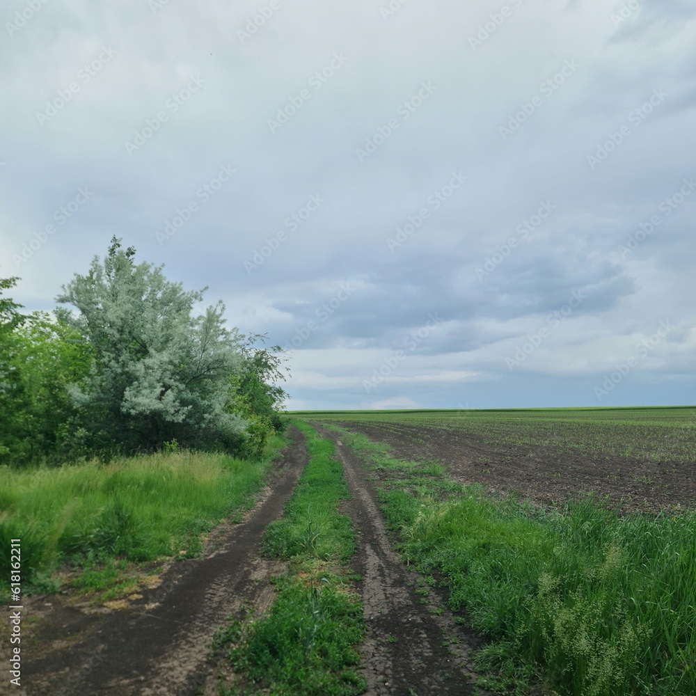 Obraz premium A dirt road with grass and trees