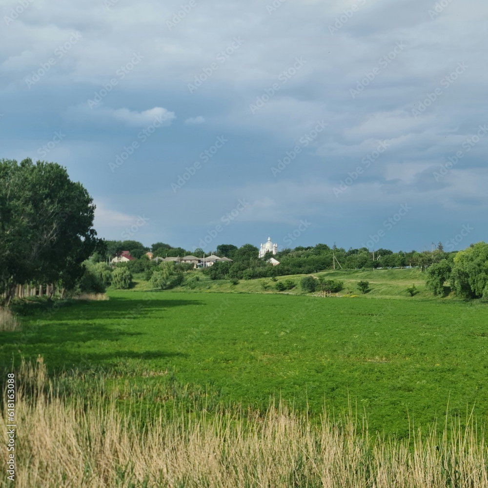 A grassy field with trees and houses in the background