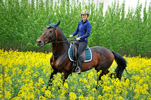 Purebred horse with rider on a rapeseed field outdoors in rural scene © Mykola