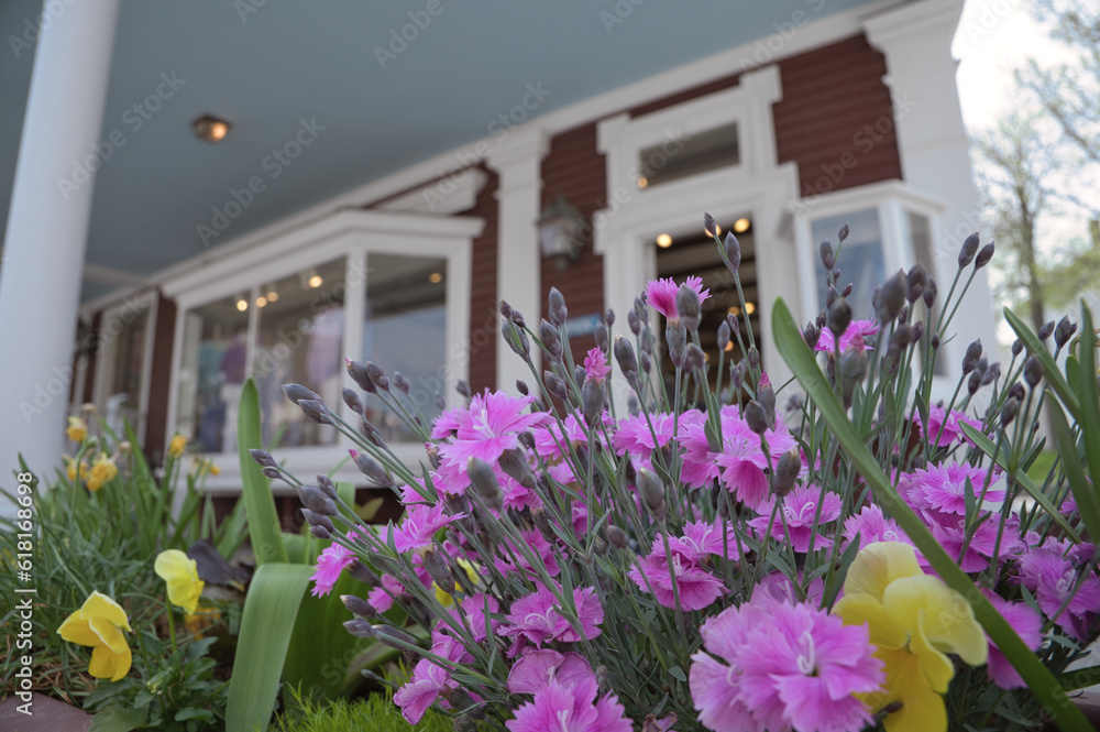 Naklejka premium flowers in front of house