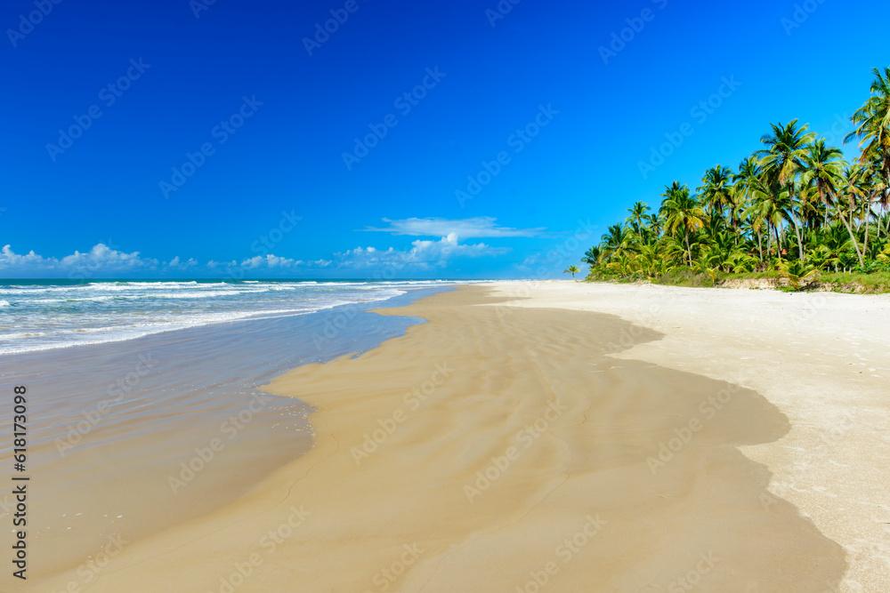 Tropical beach with coconut trees next to the sea and sand in Serra Grande on the coast of Bahia
