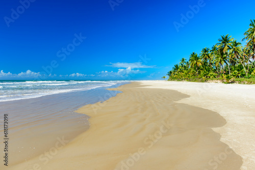 Fototapeta Naklejka Na Ścianę i Meble -  Tropical beach with coconut trees next to the sea and sand in Serra Grande on the coast of Bahia