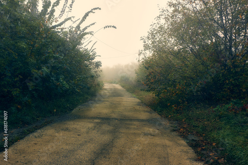 An old concrete road, the surface of the roadbed is cracked in places, the roadsides are overgrown with shrubs and trees, the morning fog gives the impression that the road is going nowhere photo