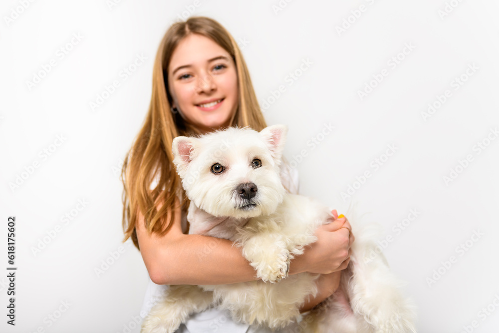 Girl and West Highland Terrier wearing white shirt on studio shot Girl and West Highland Terrier wearing white shirt on studio shot