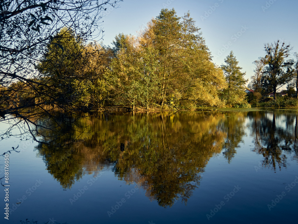 The serene expanse of the lake, the trees growing on the shore are reflected in the water, autumn has come and gilded the trees, a beautiful autumn landscape