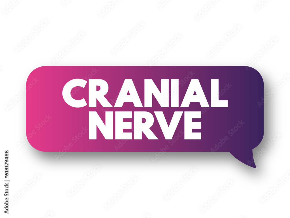 Cranial Nerve are a set of 12 paired nerves in the back of your brain, text concept background Cranial Nerve are a set of 12 paired nerves in the back of your brain, text concept background