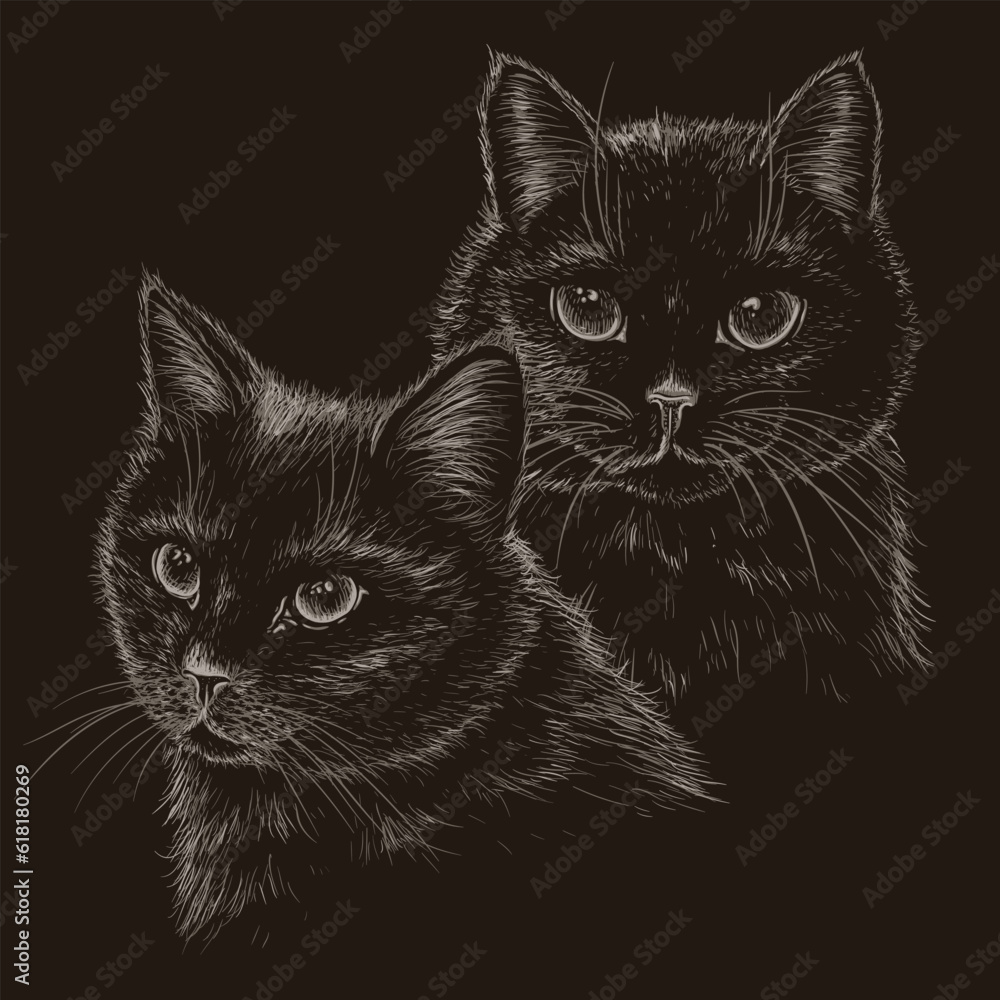 Vector illustration of 2 black cats in engraving style on a dark background Vector illustration of 2 black cats in engraving style on a dark background
