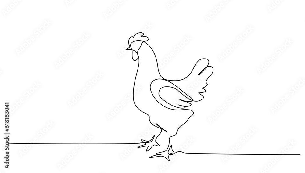 Continuous line art or One Line drawing of chicken for vector illustration, business farming. chicken pose concept. graphic design modern continuous line drawing