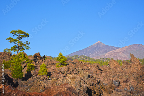 beautiful nature of the Canary Islands, Tenerife island