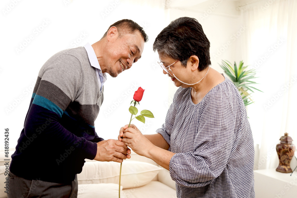 Romantic elderly man gives red rose flower to his wife in living room, happy smiling Asian senior mature retired couple celebrate wedding Anniversary together at home, retirement lifestyle concept. Romantic elderly man gives red rose flower to his wife in living room, happy smiling Asian senior mature retired couple celebrate wedding Anniversary together at home, retirement lifestyle concept.