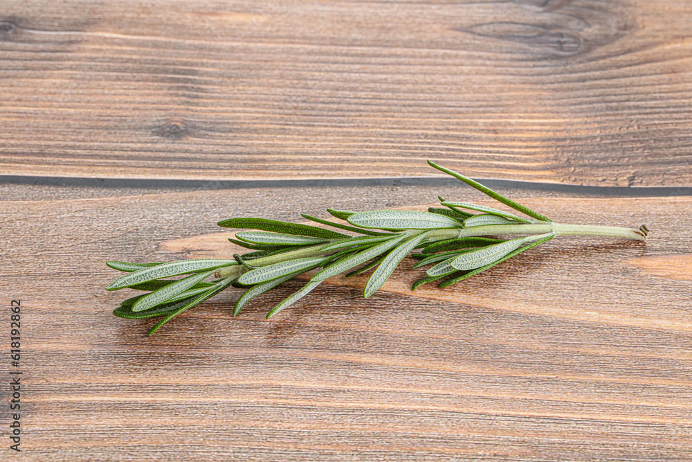 Rosemary branch - organic spicy herb Rosemary branch - organic spicy herb