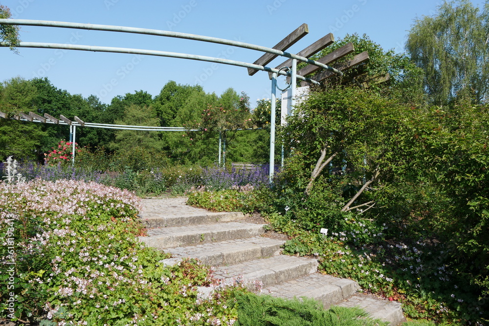 Treppe und Pergola im Rosengarten im Botanischen Garten in Bremen