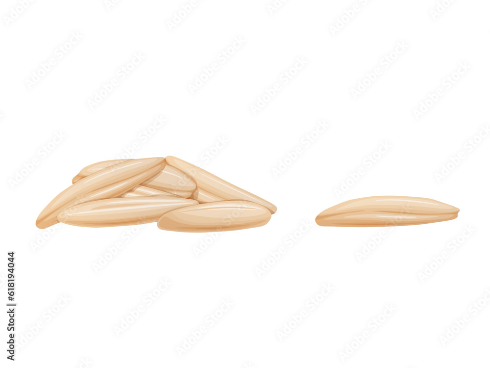 Brown rice grain. Unpolished rice seeds in cartoon flat style. Brown rice grain. Unpolished rice seeds in cartoon flat style.