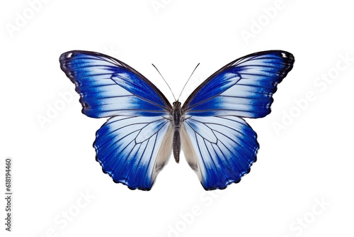 Beautiful butterfly isolated on white transparent background , PNG file , Created with Generative Ai Technology