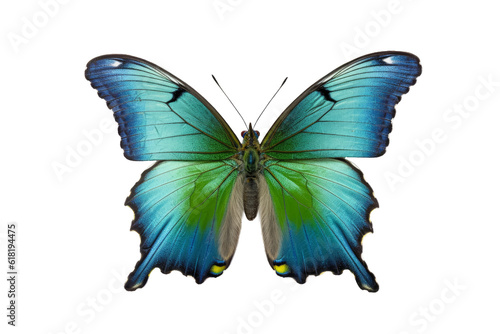 Beautiful butterfly isolated on white transparent background , PNG file , Created with Generative Ai Technology © Atchariya63