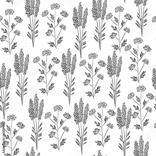 Lavendar and valerian plant seamless pattern in sketch vintage style