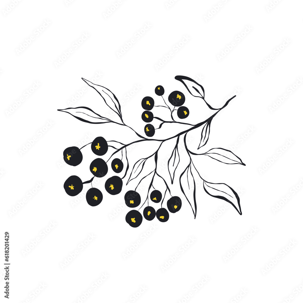 Obraz premium Modern Art Illustration. Matisse Abstract Set, Aesthetic Modern, Boho Decor, Minimalist, Illustration, Vector, Poster, Postcard. Aesthetic minimalist design. Vector illustrations.