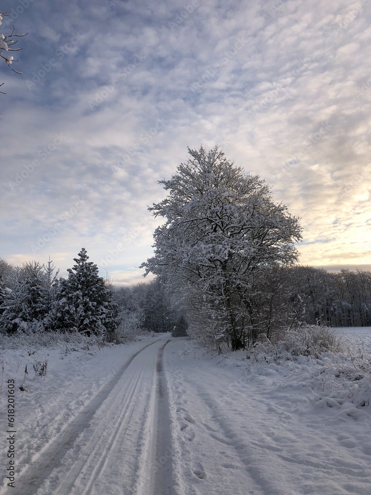 Obraz premium winter road in the snow