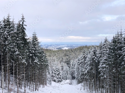 snow covered trees in winter © Mentall Wellness