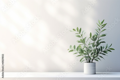 Minimalistic light background with blurred foliage shadow on a white wall. Beautiful background for presentation with with smooth floor 