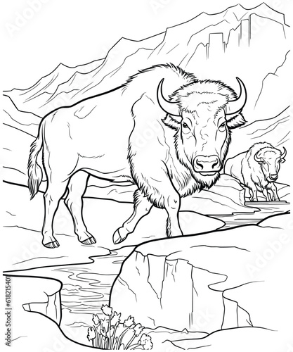 american bison coloring Page for adults vector illustration