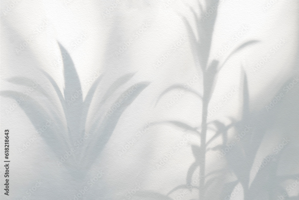 Leaf shadow and light on wall background. Nature tropical leaves tree branch and plant shade with sunlight from sunshine dappled on white wall texture for background wallpaper, shadow overlay effect Leaf shadow and light on wall background. Nature tropical leaves tree branch and plant shade with sunlight from sunshine dappled on white wall texture for background wallpaper, shadow overlay effect