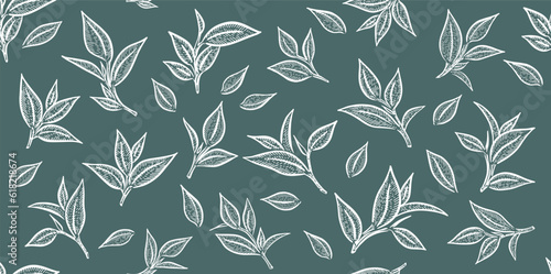 Green tea leaves. Hand drawn, vector.	
