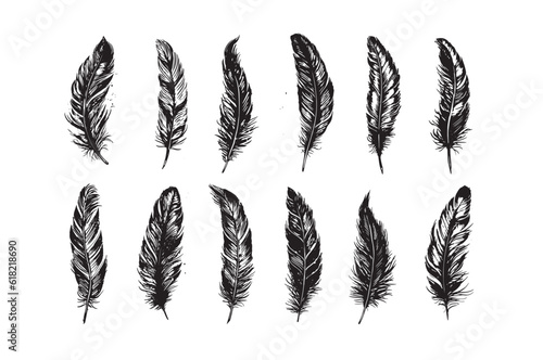 Hand drawn feather on white background	
