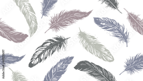 Hand drawn feather on white background	
