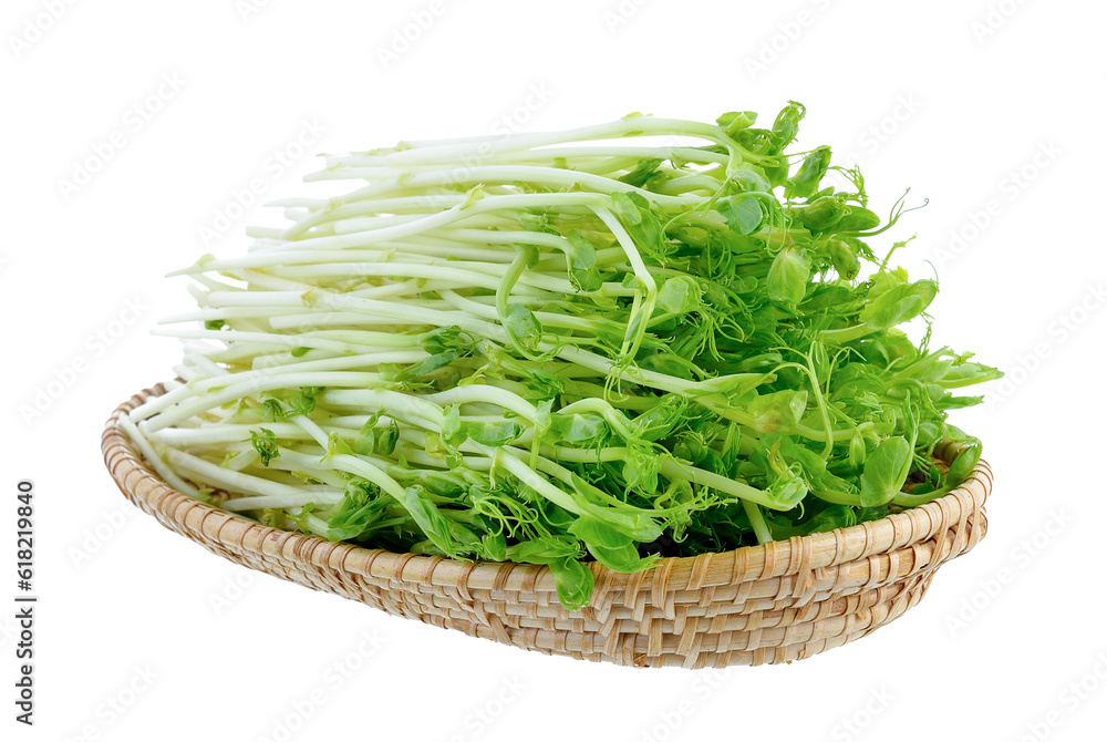 green pea sprouts in basket on transparent png green pea sprouts in basket on transparent png