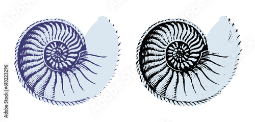 Set of silhouettes of sea cockleshells isolated on white background. Vector shells. Violet and black shells