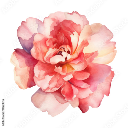 pink flowers watercolor isolated on transparent background cutout