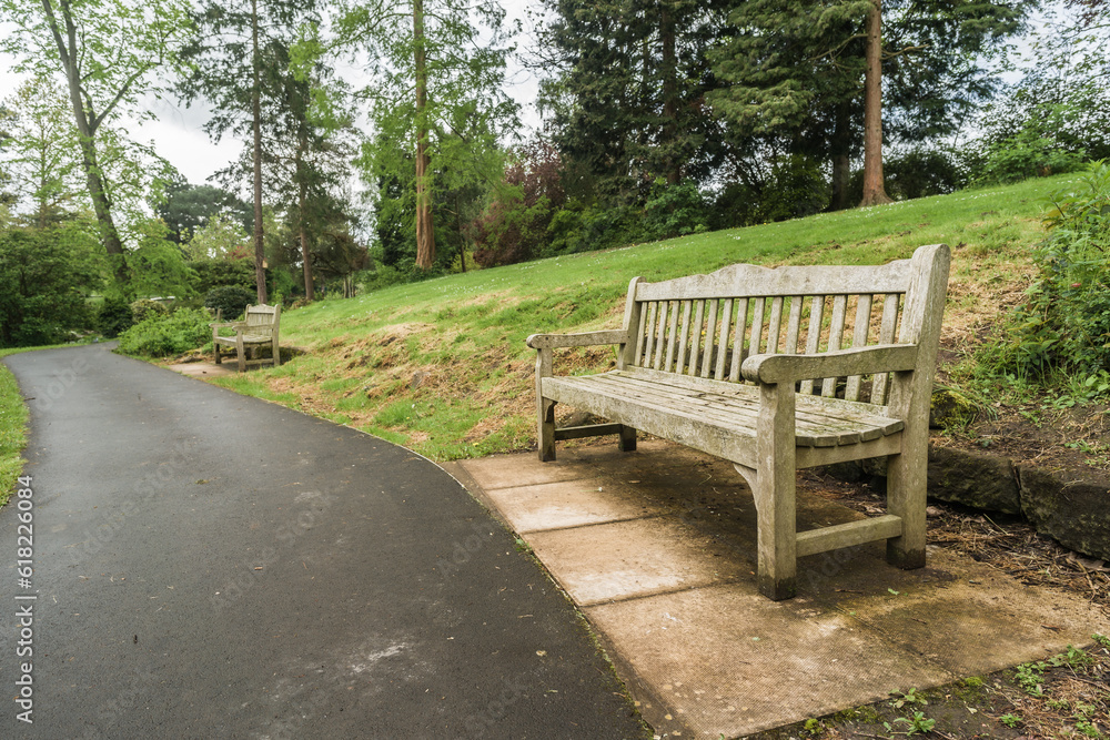 Wide angle view of a wooden park bench with pathway, travel and tourism concept illustration.