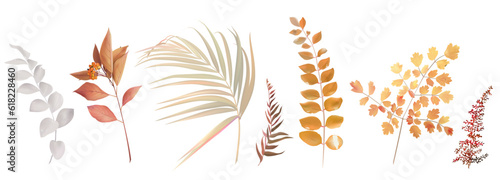 Mix of herbs and plants vector big collection. Cute rustic wedding greenery. Dried palm leaf, orange, beige, bleached grass
