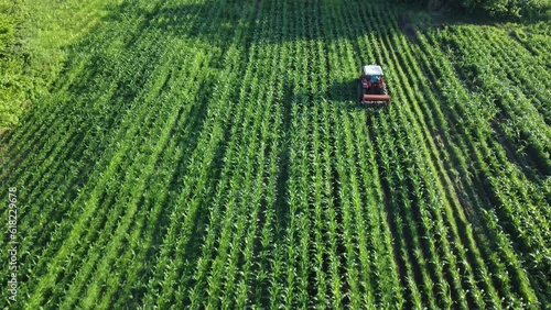 Agricultural field aerial view. Tractor taking care of the ripening crop. Harvest season. Drone view.